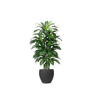 <span class=keywords><strong>Pot</strong></span> de jardinière en <span class=keywords><strong>plastique</strong></span> PP épaissi navire de sol innovant de Rome pour les plantes de décoration de maison de luxe grande pièce maîtresse d'affichage botanique - Product Image 2