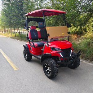 Carrito de Golf <span class=keywords><strong>El</strong></span>éctrico de 2 Plazas con Batería de Litio, Certificado por DOT, para Campos de Golf y Vecinados - Product Image 4