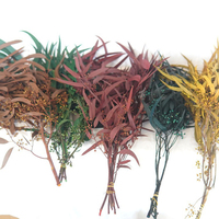 Real Exotica Eucalyptus Fleur Préservée Plantes à Fleurs Sèches pour Fleuriste Fournitures pour la Maison Événements Mariages Noël Fête des Mères