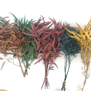 Real Exotica Eucalipto Flor Preservada Plantas de Flores Secas para Floristerí<span class=keywords><strong>a</strong></span> Suministros para Eventos en Casa Bodas Navidad Dí<span class=keywords><strong>a</strong></span> DE LA Madre - Product Image 2