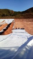 Géotextile en polyester renforcé pour le traitement des fondations des sols molles