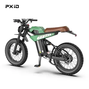 PXID Factory ODM OEM Customized Motor Bike 750W 1000W 1200W 48V Electric Hybrid Off Road All Terrain Bike Adult