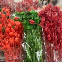 Großhandel für Konservierte Nigella-Blumen, Natürliche Getrocknete Blumen, Damascena Nigella Gras für Hochzeits- und Valentinstagsdekorationen