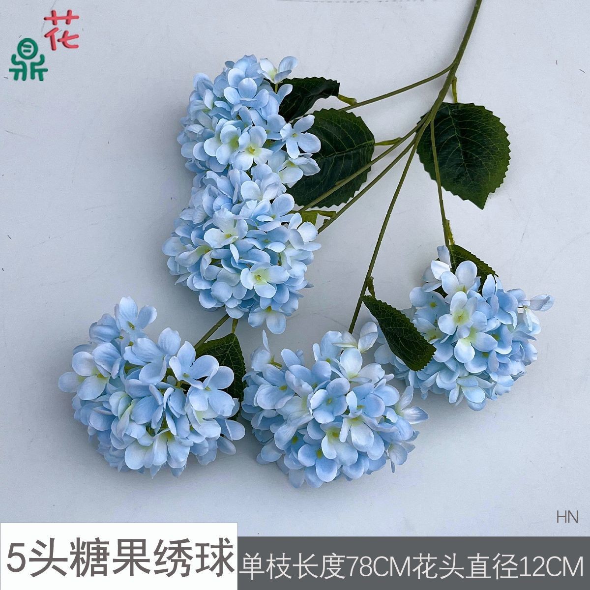 แคนดี้ไฮเดรนเยีย HN 5 หัว สีฟ้าอ่อน ไม่มีใบ