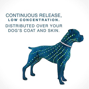 Collare antipulci e zecche regolabile, protezione <span class=keywords><strong>per</strong></span> 8 mesi, <span class=keywords><strong>per</strong></span> cani e <span class=keywords><strong>gatti</strong></span>, articoli <span class=keywords><strong>per</strong></span> animali domestici - Product Image 3