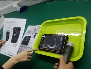 BMV S3 Pemindai Ultrasound, Pemindai Pemindai Ultrasound untuk Peternakan Ternak Binatang Babi Domba Tanpa Kabel