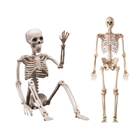 Squelette d'Halloween en plastique de taille humaine de 24 pieds (180 cm, 6 pieds) en gros à vendre