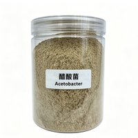 Inoculant en poudre pour fermentation acétique Acetobacter 10 milliards UFC/g, durée de conservation de 12 mois, sacs kraft de 25 kg pour l'éthanol et l'acide acétique