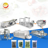 ORME Apple Liquid Quick Freeze Process Line Fruitwas- en sorteerlijn met blastvriezer transportband productielijn