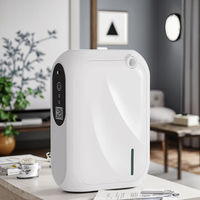 Diffuseur d'arôme de machine de pulvérisation de parfum commercial Diffuseur d'aromathérapie d'huile essentielle commerciale