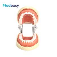 Modelo de Dientes para Estudiantes de Odontología, Simulación Médica, Encías Suaves, Silicona de Alta Calidad, PVC, 8x6.5cm, para Preparación