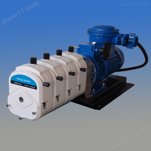 Huiyu High IP55 High Torque Multiple <b>Pump</b> Heads Manually Speed Adjustable Explosion Proof Motor Peristaltic <b>Pump</b> - Product Image 4