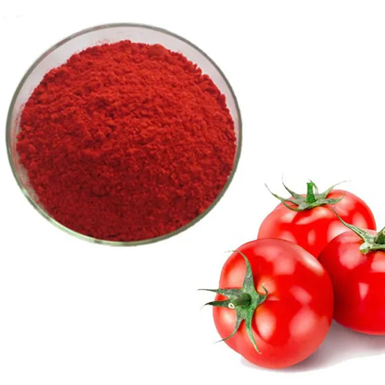 Natürliches Tomaten gewürz Spray Getrocknetes Tomaten extrakt pulver Preis