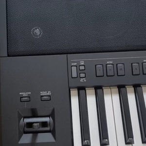 คีย์บอร์ดอิเล็กทรอนิกส์แบบพกพา PSR-SX-700 61 คีย์ เครื่องดนตรีดิจิตอลสำหรับผู้ใหญ่ เด็ก และผู้เริ่มต้น เครื่องดนตรีมือสอง - Product Image 2