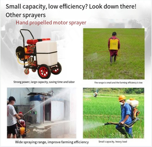 Petit pulvérisateur de brouette pour l'agriculture 60L100L 200L 300L voiture de pulvérisation à essence - Product Image 5