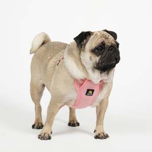 BELLA & PAL-Harnais pour chien de taille chiot, harnais sans traction, harnais pour chien de taille moyenne, réfléchissant, rose corail, S - Product Image 3