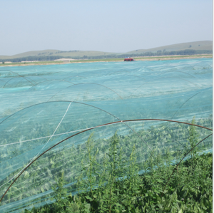 شبكة زراعية مضادة للحشرات/مالا أنتيفيدا - Product Image 2