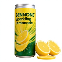 Kant-en-klare drank 10% gearomatiseerd fruitconcentraat bruisende limonade drank blik/fles verpakking fabriek direct leverbaar