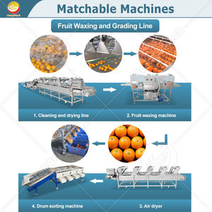 Machine de <span class=keywords><strong>tri</strong></span> et de calibrage des fruits ORME pour pommes de terre, mangues, avocats et kiwis - Product Image 5