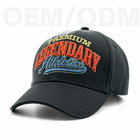 Gorra de Streetwear con Logo Personalizado, Bordado Tonal, 100% Algodón, Etiqueta Privada, Diseño de Alas de Ángel, MOQ Bajo, para Venta al Por Mayor de Artículos de Club