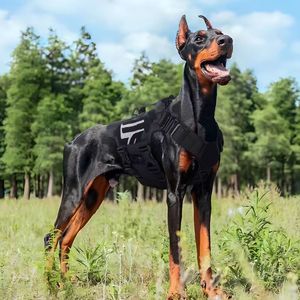 犬用タクティカルチェストハーネス - 大型犬・中型犬用 テザリングベスト型ペットチェストハーネス - Product Image 5