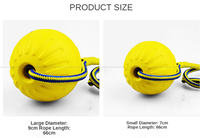 Jouet de balle pour chien avec corde jouet interactif indestructible pour chien jouets à mâcher d'entraînement pour animaux de compagnie nettoyage des dents balle élastique en EVA à noyau solide pour chien