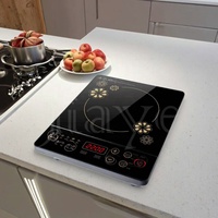Cuisinière en céramique électrique OEM ODM Cuisinière infrarouge à induction portable Appareil de cuisine Table de cuisson Table de cuisson avec prix d'usine