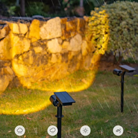 Projecteur solaire réglable de petite taille, LED extérieur, lumière blanche chaude, éclairage décoratif de jardin, indice de protection IP65, dimmable, lithium