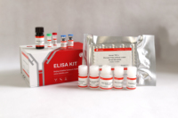 Solarbio Kit de haute qualité de troponine cardiaque de rat I CTnI Elisa pour la recherche scientifique