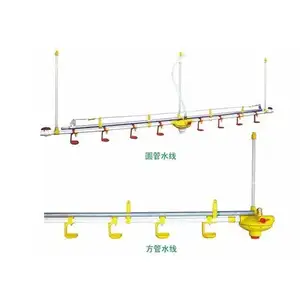 Poultry broiler chicken farm nipple drinkers drinking lines chicken water line system