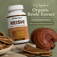 Capsules de Reishi, extrait de champignon en poudre, soutien immunitaire, marque privée, OEM, ODM, approvisionnement en vrac, fabricant direct d'usine
