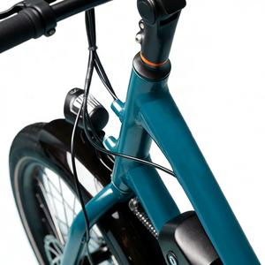 Vélo <span class=keywords><strong>cargo</strong></span> familial TERNS QUICK HAUL LONG Haul authentique, avec freins à disque hydrauliques, 7 vitesses, cadre en aluminium - Product Image 4