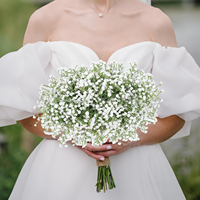 Tige de Gypsophile Artificielle Blanche, Petite Branche de Fleur Artificielle pour Bouquet de Mariage et Remplissage de Vase, Vente en Gros