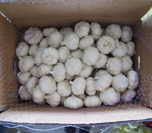 กระเทียมสด2025กระเทียมสด5.0 4.5ส่งออกจากประเทศจีน - Product Image 5