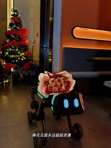 El robot de modo dual <span class=keywords><strong>BAOBAO</strong></span> cambia libremente las formas humanoides/cuadrúpedas ofrece servicios profesionales de curación mental para usuarios domésticos - Product Image 4