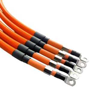 كابل طاقة DCDC عالي الجهد مخصص لإدارة البطارية تسخير أسلاك الطاقة لمورد الصين - Product Image 1