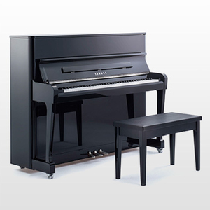 <span class=keywords><strong>Piano</strong></span> Acústico Vertical Radius121EX de la Serie RADIUS - Product Image 1