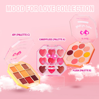 Professionnel Maquillage Shimer Ombre À Paupières Rouge À Lèvres Fard À Paupières Palette Kit Faible Quantité Minimale De Commande Prêt À Expédier Fard À Paupières Palette