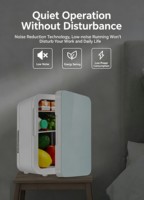 Mini-réfrigérateur portable 8L à faible bruit, refroidisseur et chauffe-eau thermoélectrique, compatible OEM ODM pour voiture, hôtel, appartement