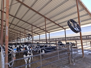 Hot Selling Poultry Suction Fan Solar Powered Poultry Farm Ventilation Fans Wall-Mounted Dairy Farm Cooling Fan - Product Image 6