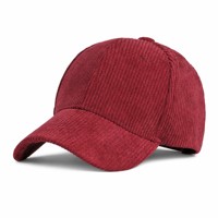 Casquette de baseball en velours côtelé, logo personnalisé, structurée, 6 panneaux, broderie 3D, unisexe, chapeau de sport, chaude, automne-hiver, homme femme