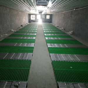 Cage de mise bas de haute qualité à prix d'usine – Équipement d'élevage porcin pour optimiser le bien-être animal et l'efficacité de la ferme - Product Image 4