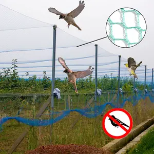 Haute résistance 2023 nouveaux produits filets de brouillard d'oiseaux HDPE filet anti-oiseaux agricole