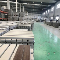 Feuille de marbre en pierre de PVC faisant la machine