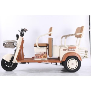 3 <b>Wheels</b> Lead-Acid Battery Brushless Motor 600W 48V/60V Carbon Steel Frame Tricycle - Product Image 2