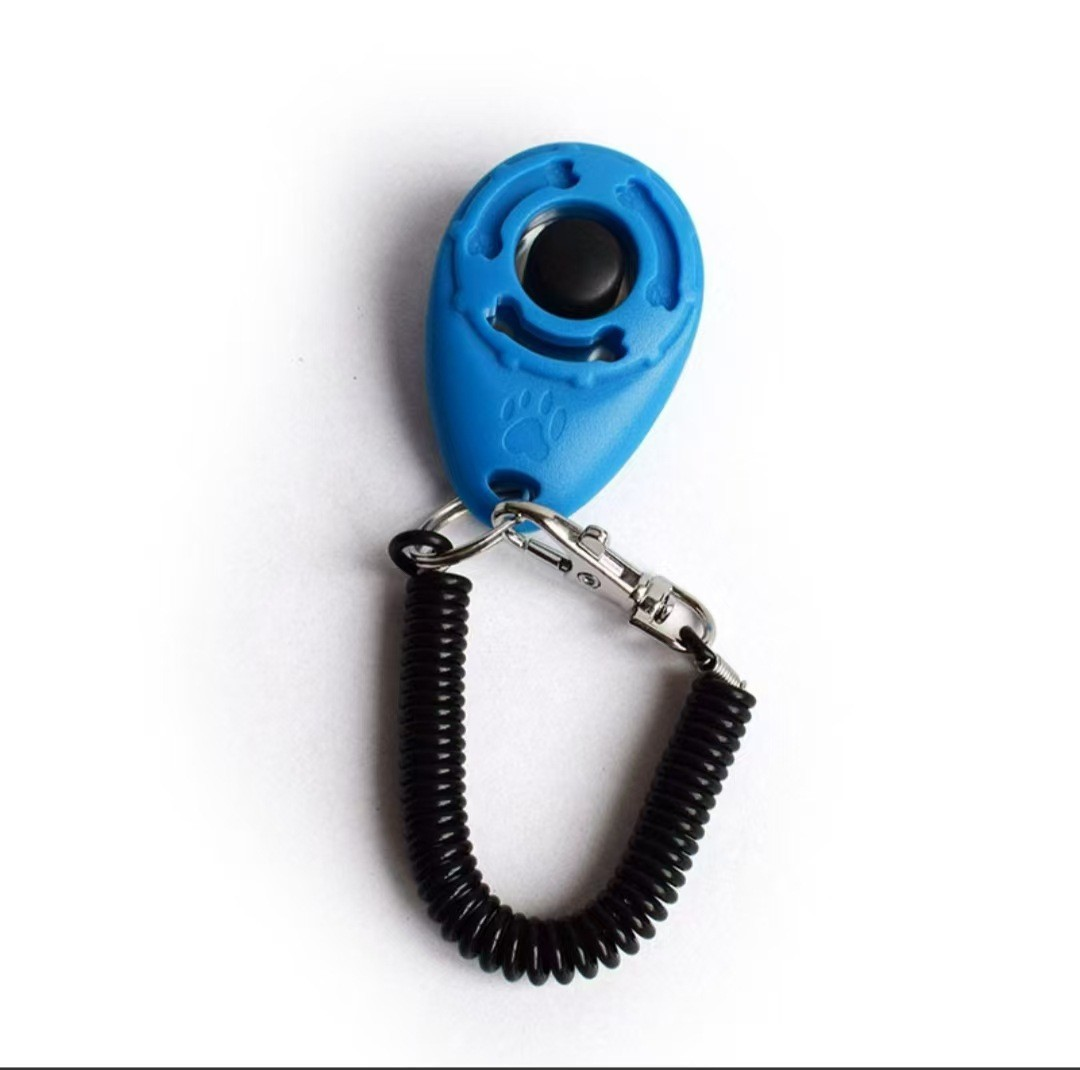 Blue 1