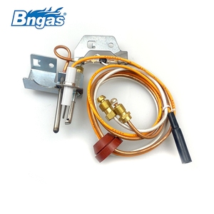 100109295-sostituzione aggiornata per gruppo pilota scaldabagno AO Smith accenditore NAT 190 gradi - Product Image 3
