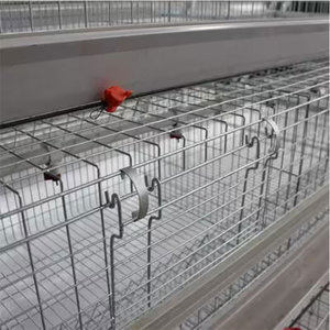 Cage à poulets de type H durable et bien ventilée pour 5000 oiseaux à faible coût pour projet avicole au Moyen-Orient - Product Image 5