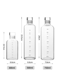 Bouteille d'eau portable unisexe en verre transparent réutilisable anti-fuite de 300 ml/500 ml/750 ml avec bouchon à poussoir et logo personnalisable - Product Image 2