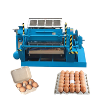Máquina Automática para Bandejas de Huevos a partir de Papel Reciclado para Pequeñas Empresas